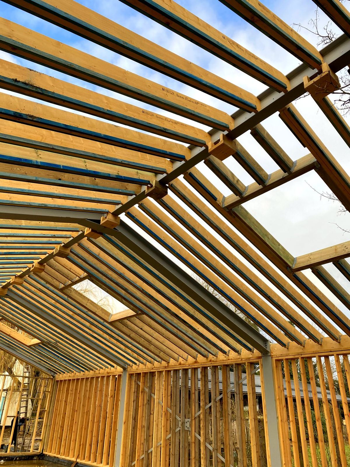 A steel ridge carrying timber rafters, with a rooflight opening trimmed above timber walls